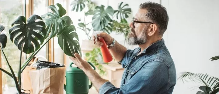 1 plant problems hero 720x310