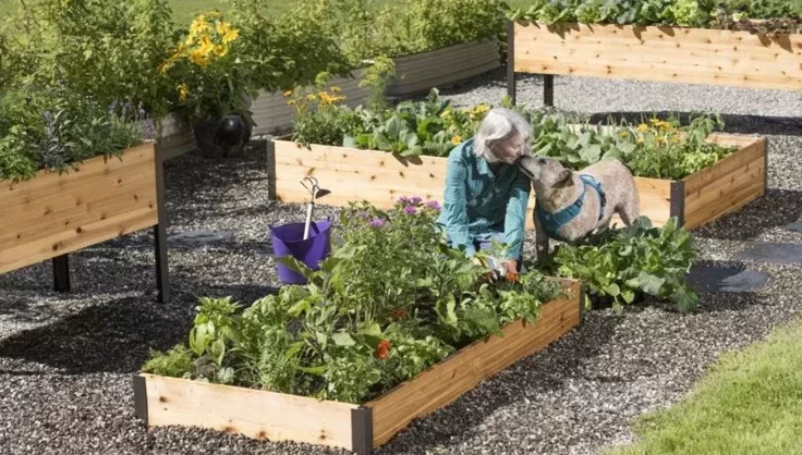8565 raised garden beds