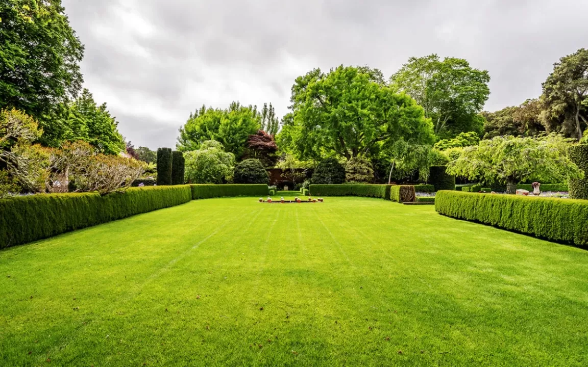 beutiful home garden landscape