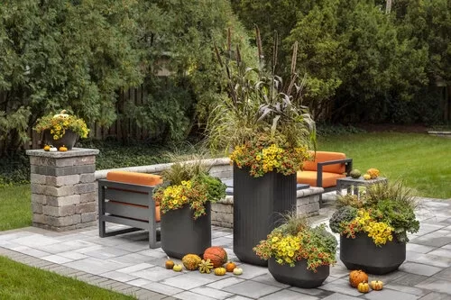 fall black and orange set 08