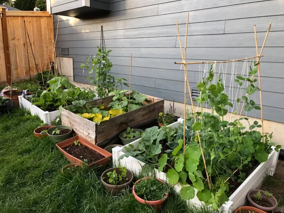Love The Yard Theme? Love The Yard Theme?