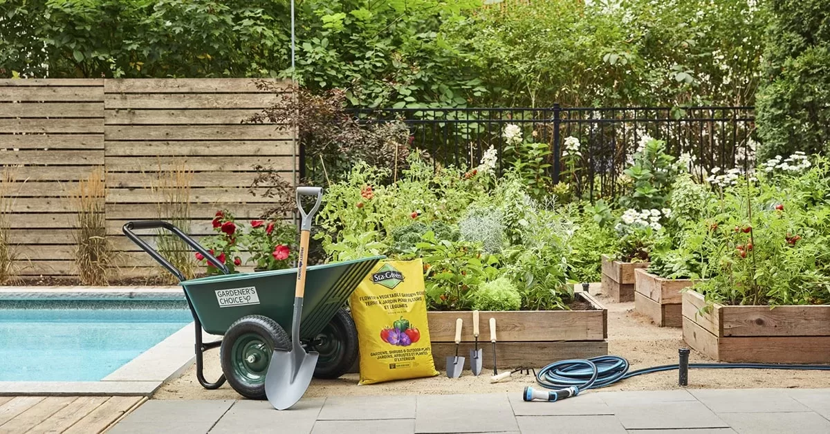 gardening basics beginners tips facebook