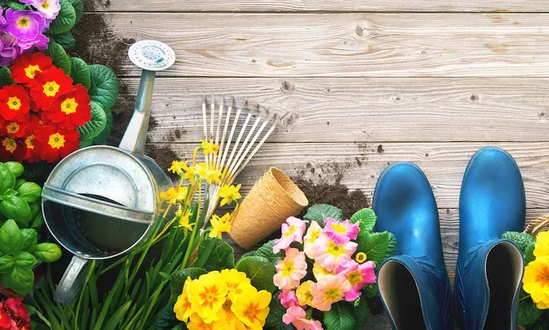 gardening consumer trends stock