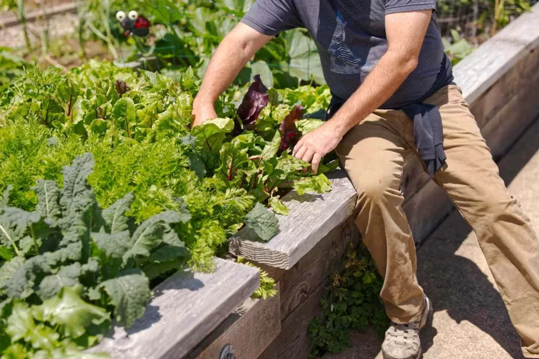 get most sustainable small garden 5097612 05 7dde7ddf2c0949e585d