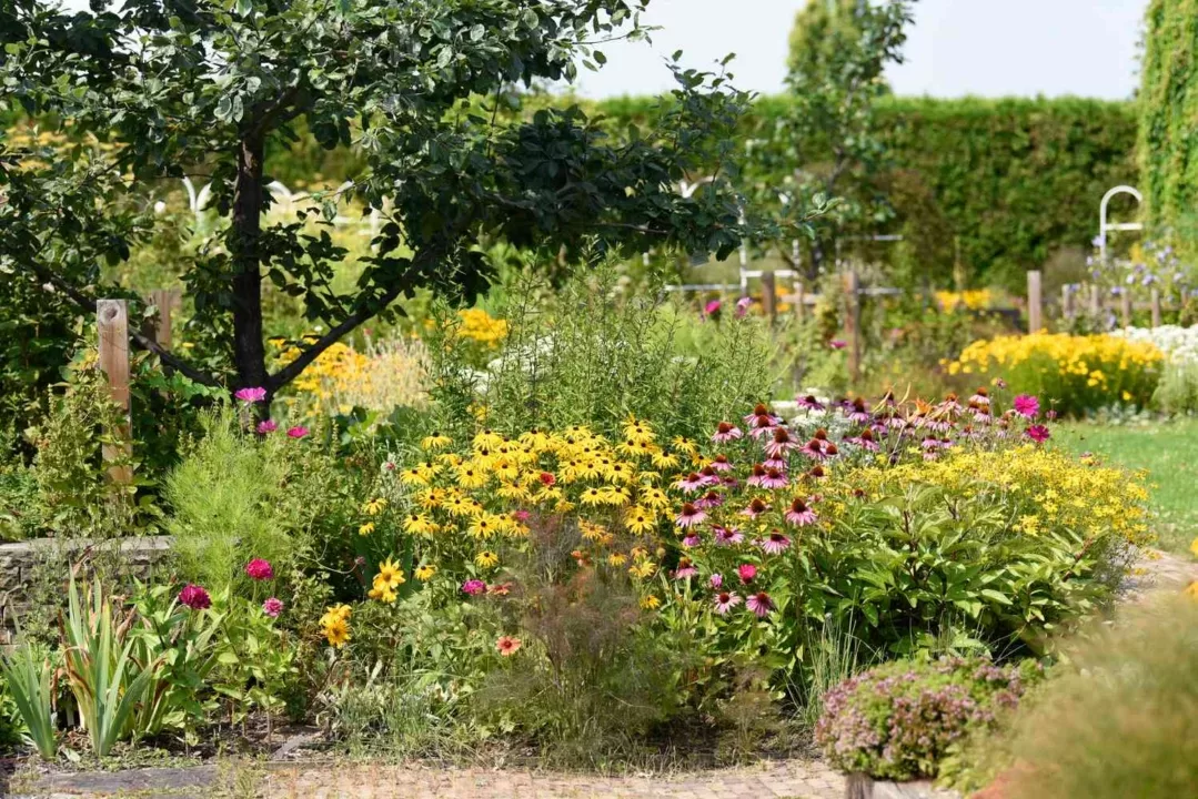 Best Gardening Offers Concepts You’ll Study This 12 months