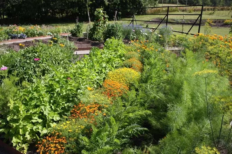Eight Strategies You presumably can Botanical Yard With out Investing An excessive amount of Of Your Time Eight Strategies You presumably can Botanical Yard With out Investing An excessive amount of Of Your Time