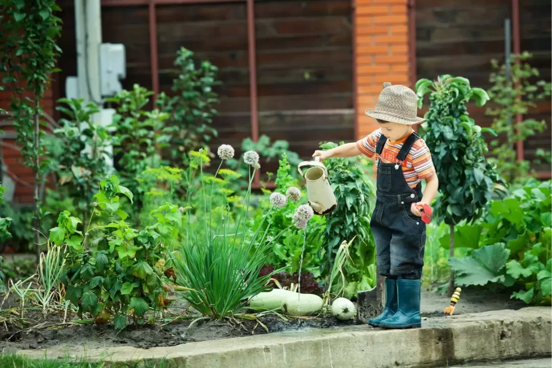 How To indicate Gardening Like An expert How To indicate Gardening Like An expert
