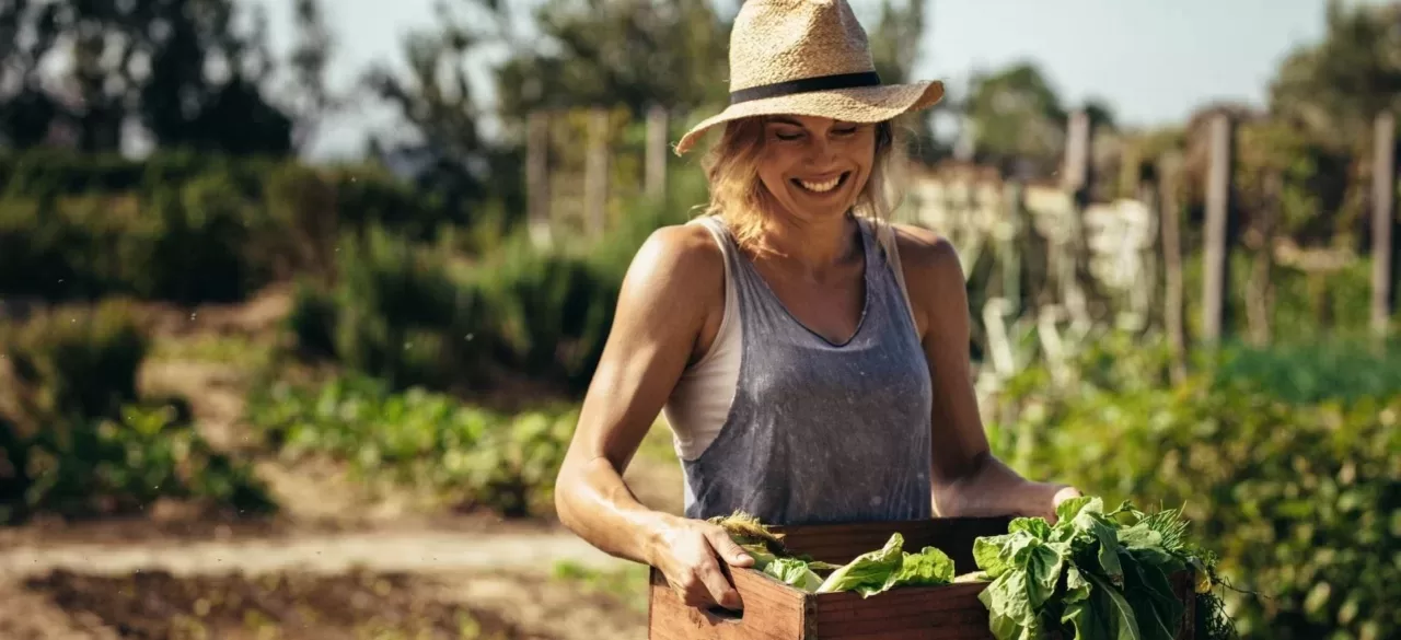 successfulgardening e1594820285369