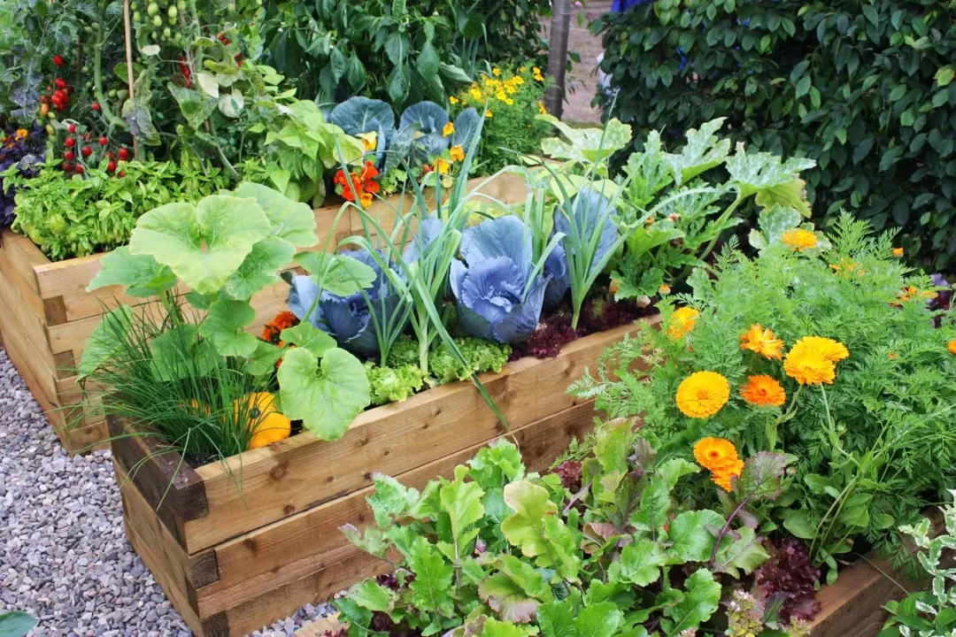 Sustainable gardening tips sustainable gardening tips