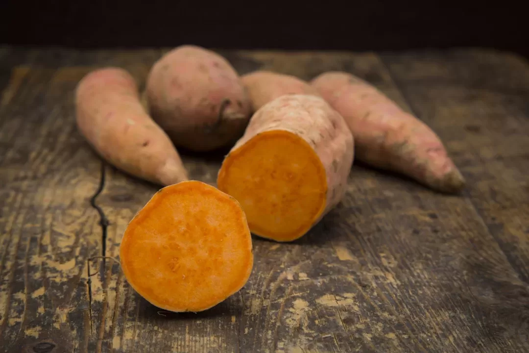 Tips on how to Grow Sweet Potatoes – for the Proper Crop Each Time