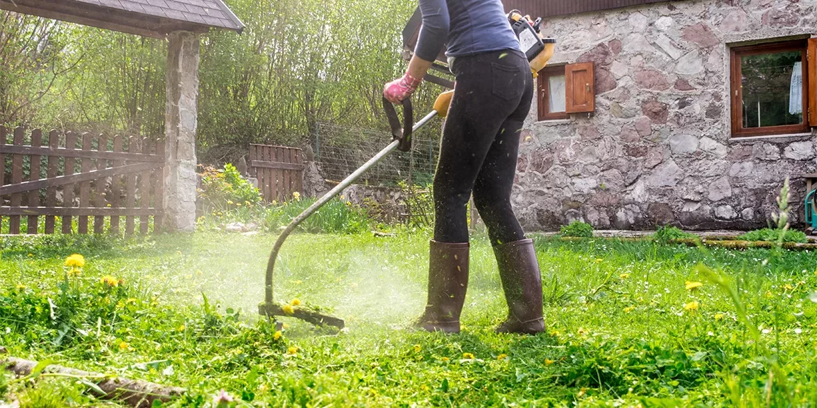 Revolutionize Your Yard with the Excessive Gardening Devices: Unleash the Vitality of Greenery!