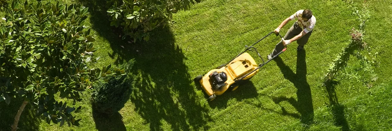 7e9264200e5e garden and outdoors vertical header