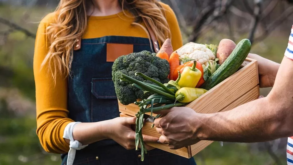 Harvest Happiness: Relish Homegrown Veggies All Yr with These Educated Strategies!