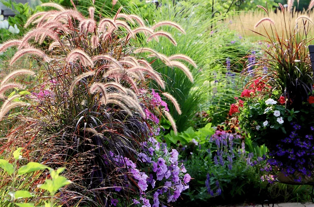 Transform Your Panorama with Hanging Ornamental Grasses: Unleash Texture and Distinction!