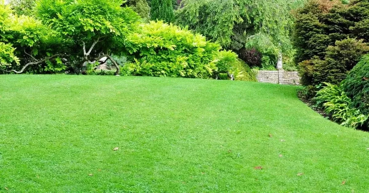 scotts growing lawns banner home v1 1x