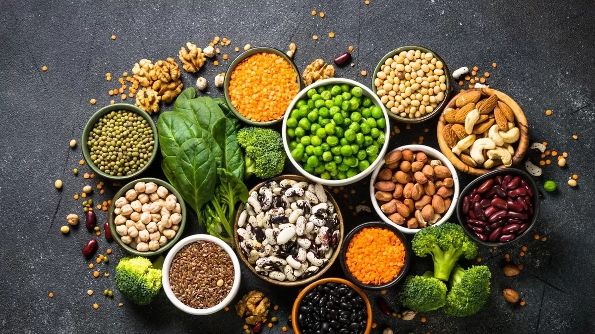 study on plant based protein and womens health 20240118191010