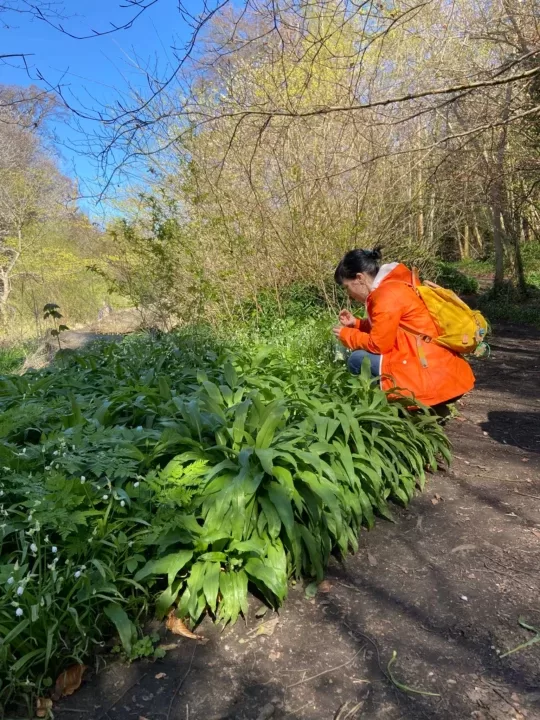 Empower Your Senses: Bountiful Harvesting of Herbs from Your Private Yard Empower Your Senses: Bountiful Harvesting of Herbs from Your Private Yard