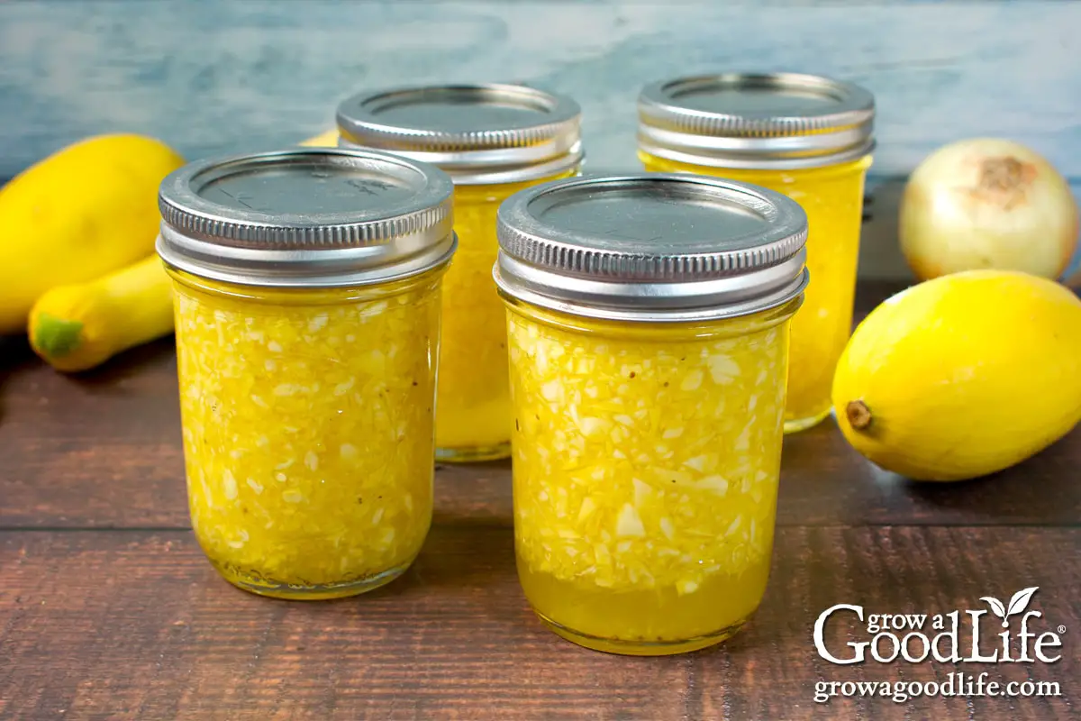 Sweet Summer season Squash Relish Canning Recipe