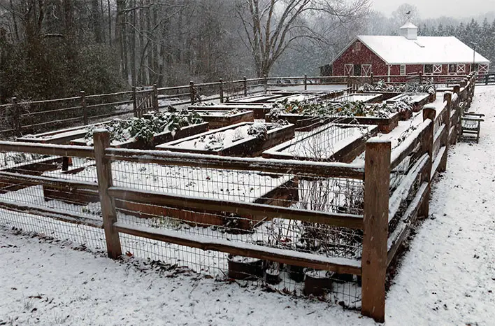 Winter: The Greatest Time to Work on Your Yard – joe gardener®