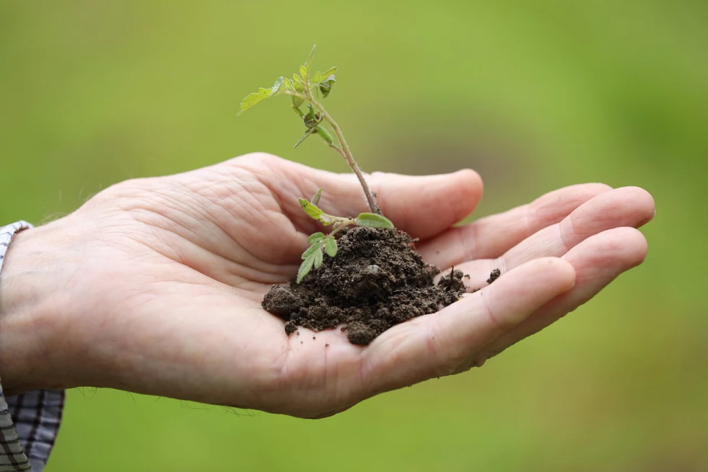 The Final Information to Planting Equipment: Instruments and Necessities for Each Gardener