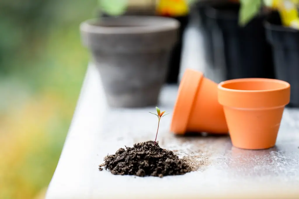 Gardening & Rising: Cultivating Nature’s Bounty Gardening & Rising: Cultivating Nature’s Bounty